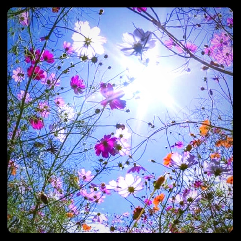 Meet your Posher, Catherine